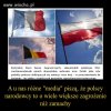 "Media" głównego ścieku.