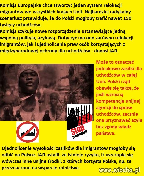 150 tys. uchodźców trafi do Polski? Nowy plan KE 