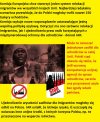 150 tys. uchodźców trafi do Polski? Nowy plan KE 