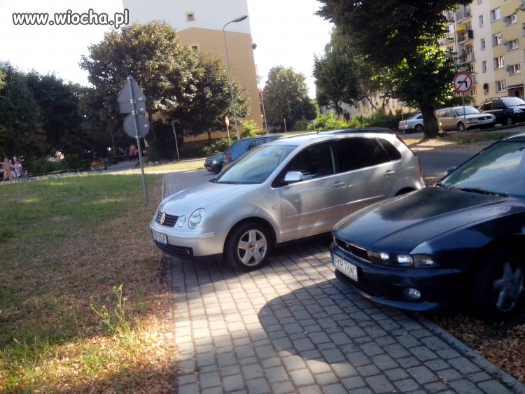 Mistrz parkowania