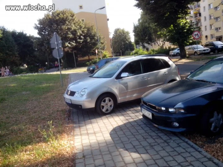 Mistrz parkowania