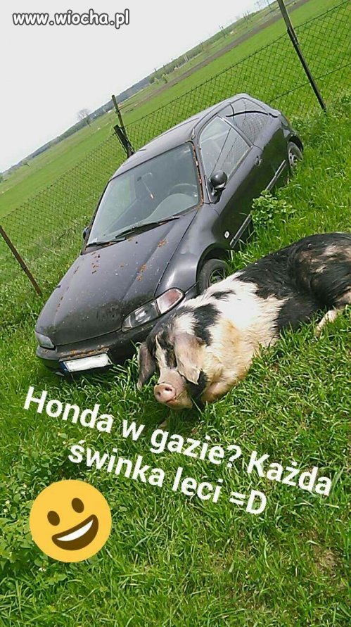 Honda w gazie
