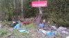 Prawidłowa segregacja śmieci w XXI wieku