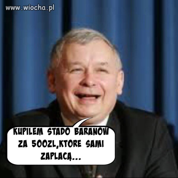 Trafne spostrzeżenie  