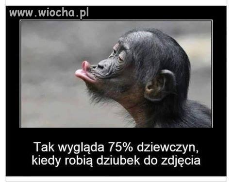 Dzióbek