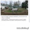 W 3 miesiące zniszczyć renomę i tradycje budowaną 