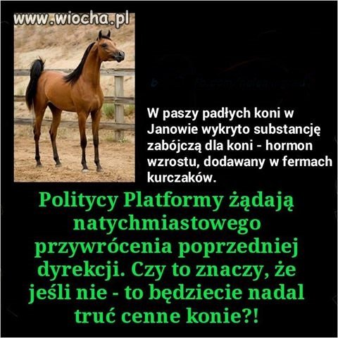 Też tak myślę