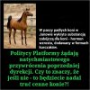 Też tak myślę