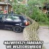 Farciarz