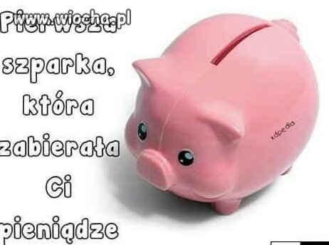 Pierwsza szparka 