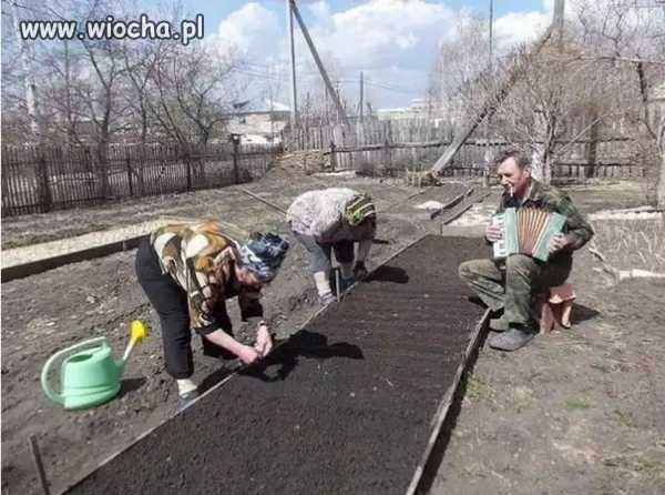 Równouprawnienie
