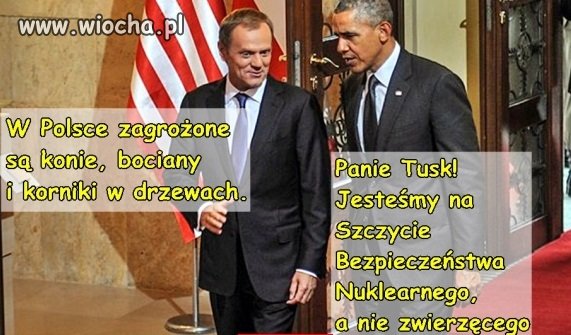 No i masz ci kłopot