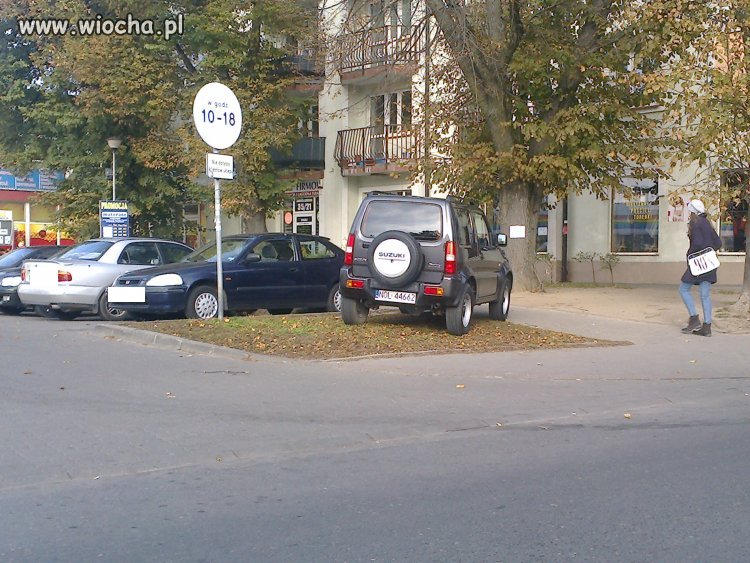 Mistrzowie parkowania. 