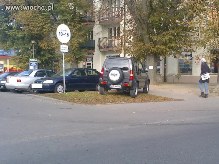 Mistrzowie parkowania. 