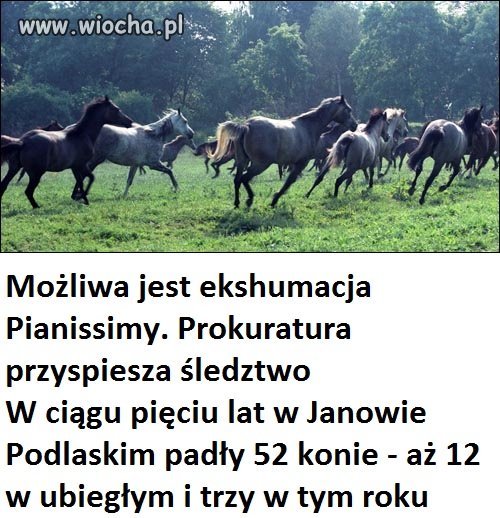 Czy to wina nowego dyrektora ???