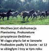 Czy to wina nowego dyrektora ???