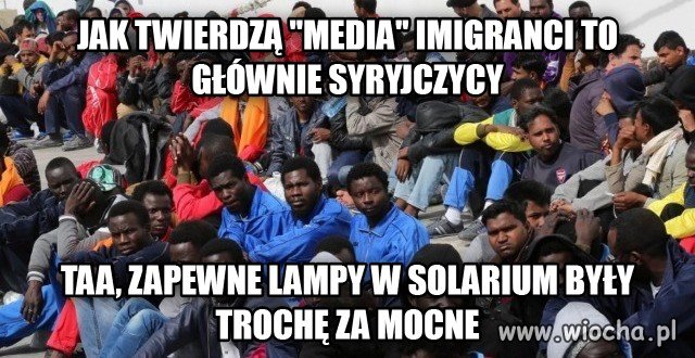 Imigranci to głównie syryjczycy