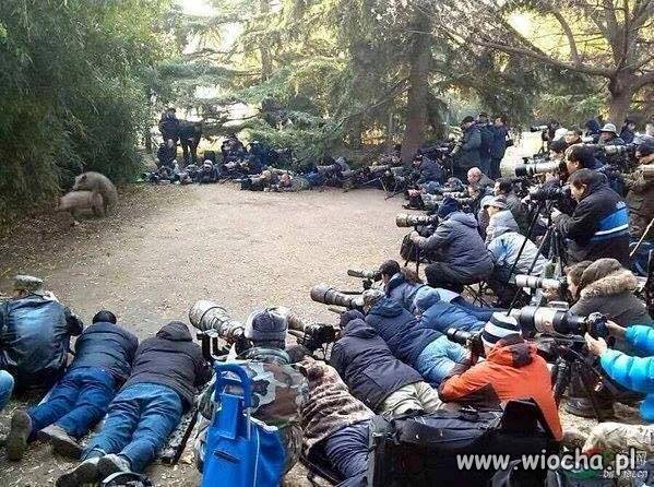 To się nazywa pożądanie
