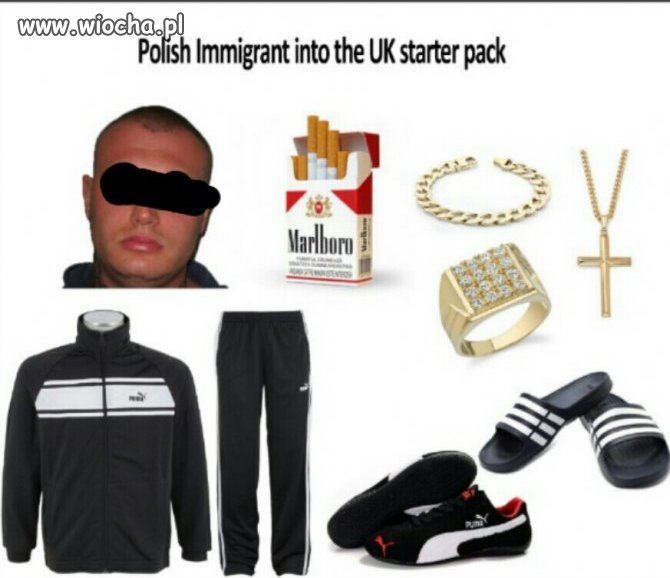 Polish immigrant starter pack