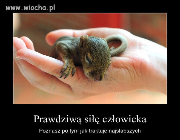 Miło by było, gdybyś wziął do siebie 