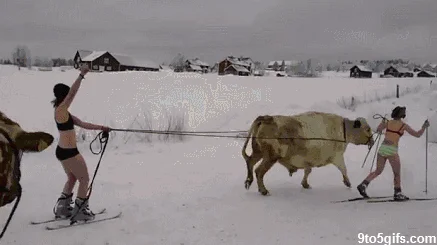Ja już wiem.