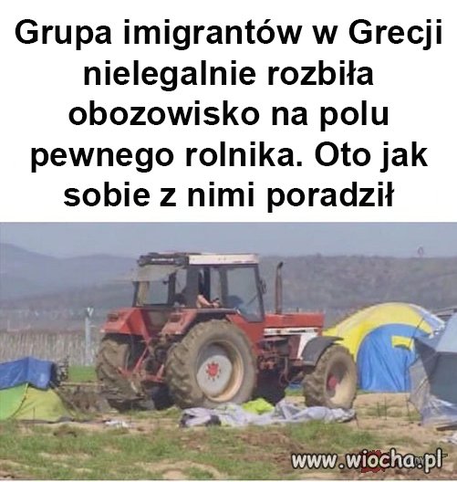 Brawo
