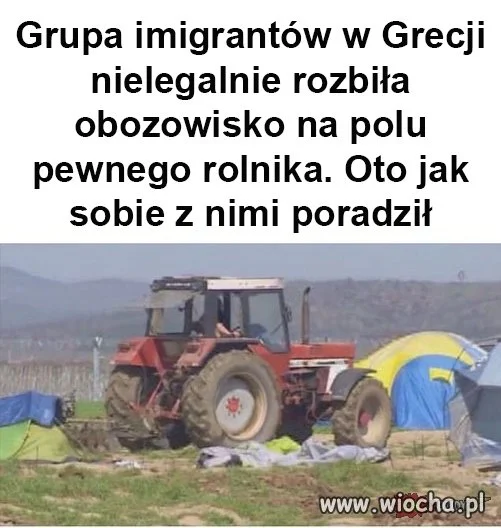 Brawo