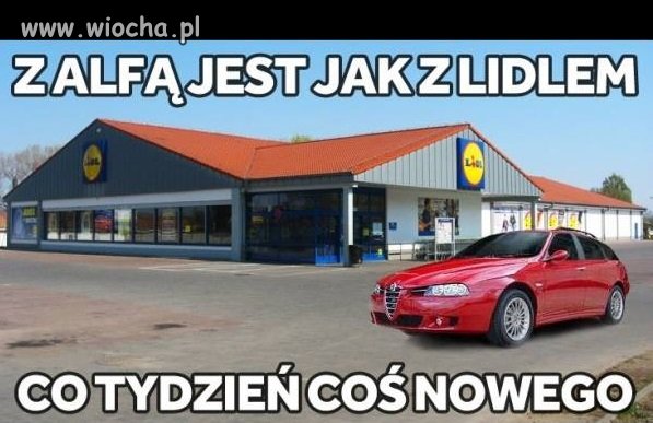 Typowa Alfa