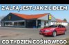 Typowa Alfa