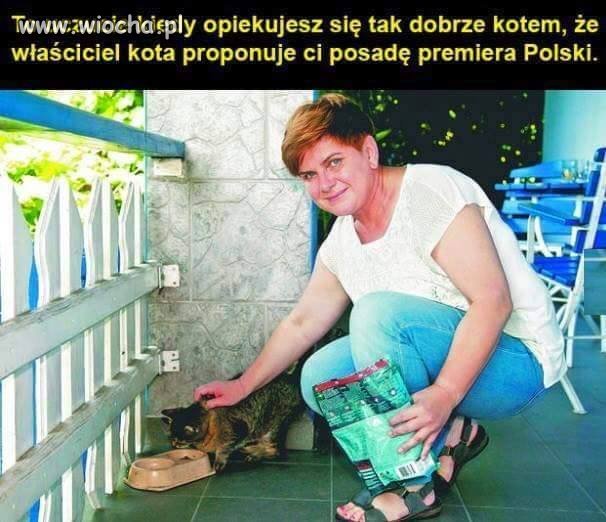 Opiekunka kota 