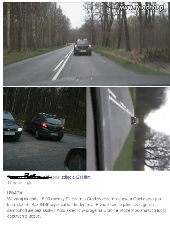 Gnida nie człowiek wyrzucił na drodze psa.