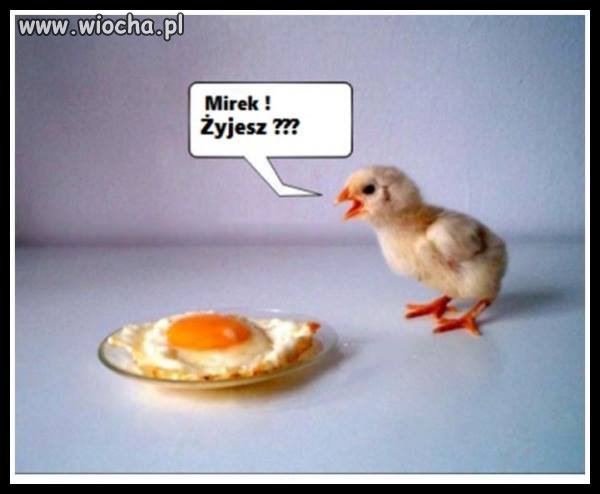 Mirek