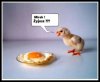Mirek