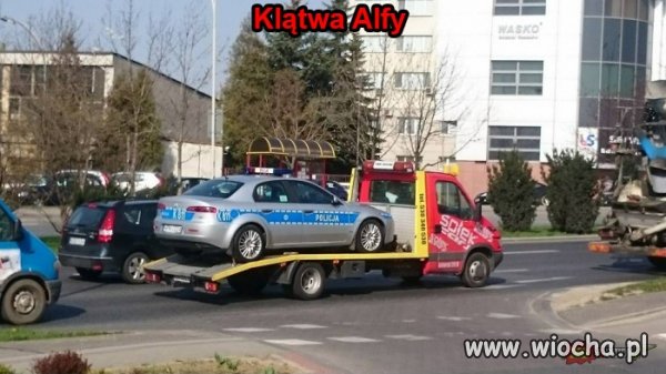 Klątwa alfy 