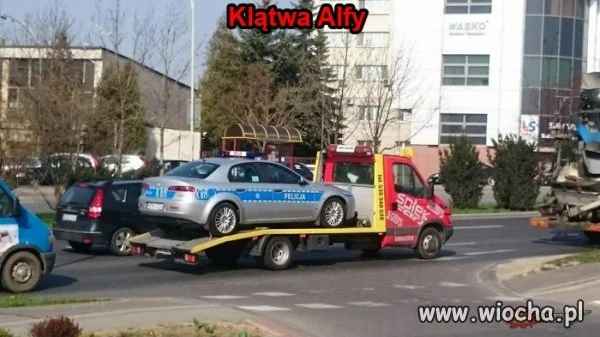 Klątwa alfy 
