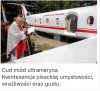 Chłam,blichtr,kicz