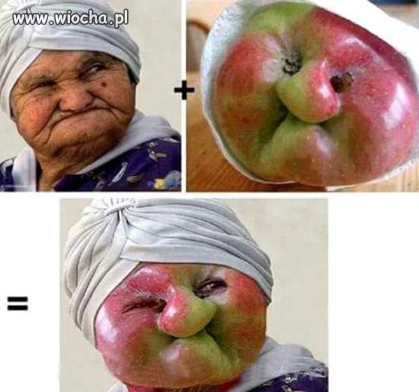 Stara babka  