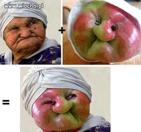 Stara babka  