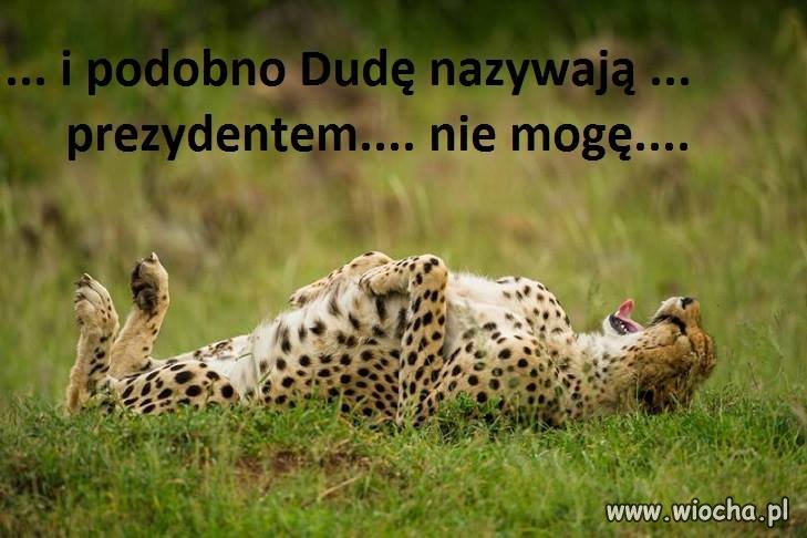 Dziś było w Animal Planet 
