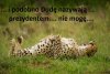 Dziś było w Animal Planet 
