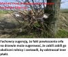 Ktoś w gminie Turobin (woj. lubelskie) rozwiesił 