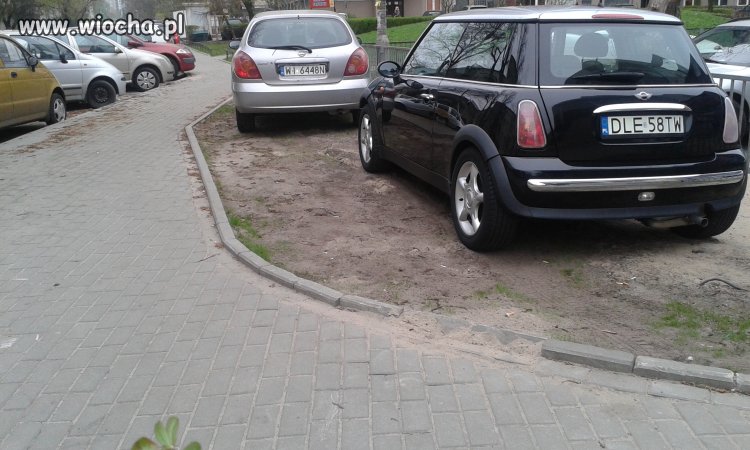 Nawieziona ziemia, wysypane nasiona trawy