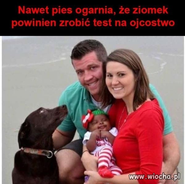 Test na ojcostwo