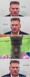 Kot detektywa