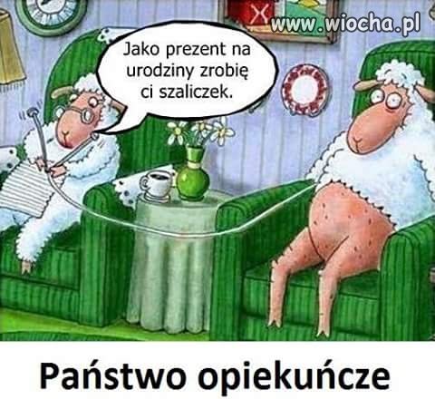 Tak wygląda program 500+