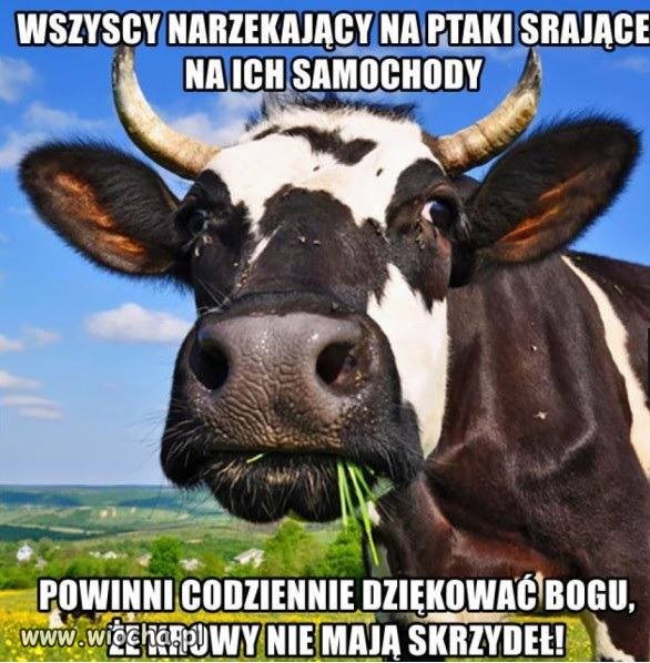 Dla przypomnienia  