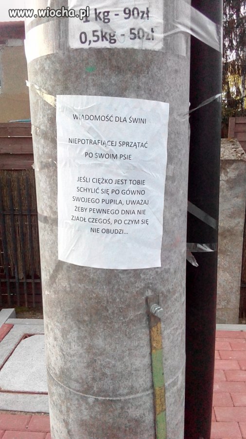 Wiadomość dla świni
