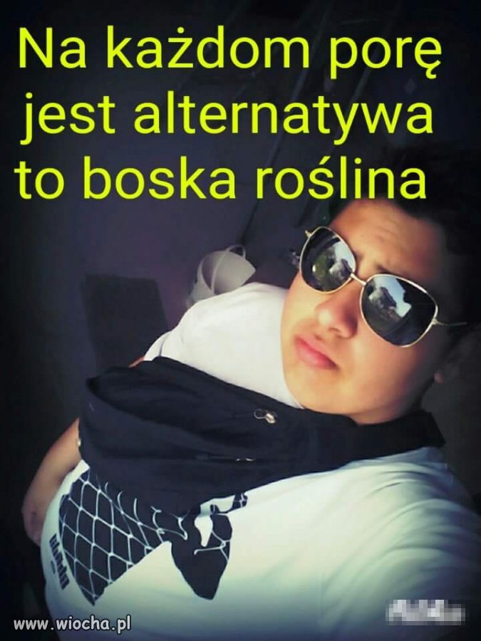 Moresy "żondzom"