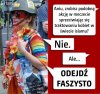 Feminizm 