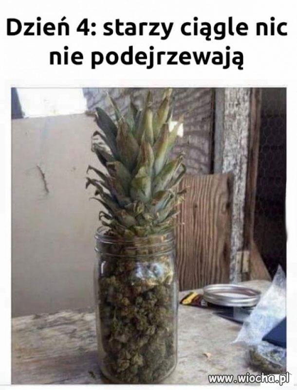 Dzień 4